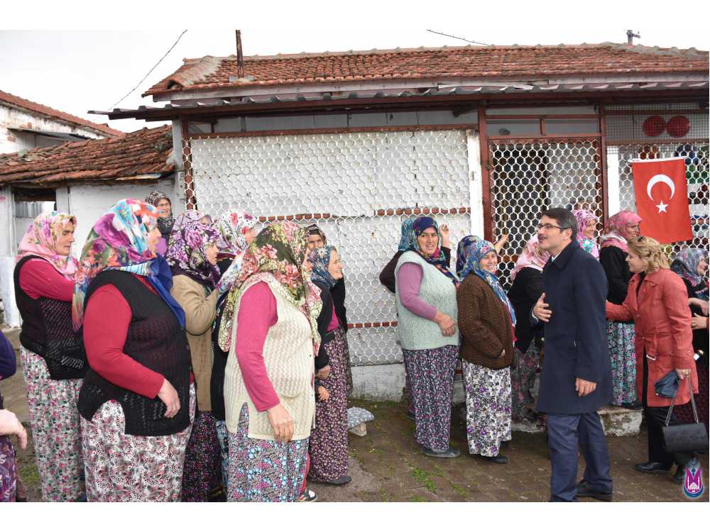 Haber Resmi