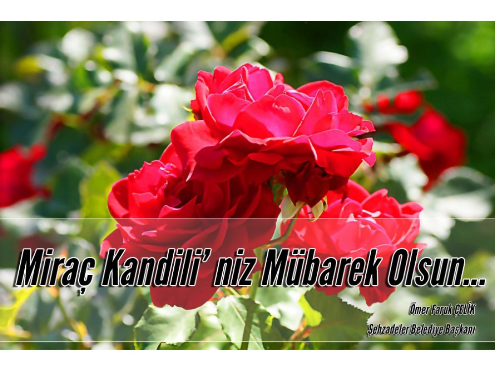 Haber Resmi